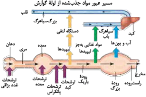 کتاب بیولوژی کمپبل 